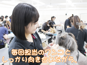 ２年生のトリミング実習♪